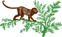 Monkey on a Tree
