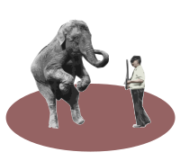 Animal Trainer