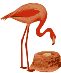 Flamingo Nest