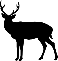Buck Deer Silhouette