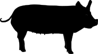Pig Silhouette