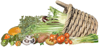 Basket Of Vegetables By Buntysmum Stylized