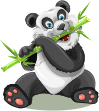 Panda eating bamboo