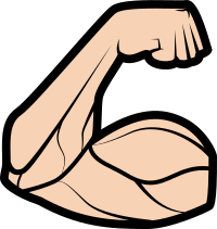 Bicep (#2)