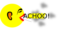 Achoo-algot