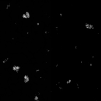 transparent noise 03