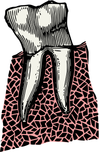Colour Tooth