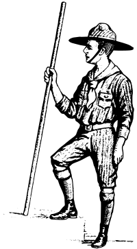 Boy Scout Steps