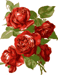 Simple Red Roses
