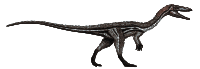 Coelophysis