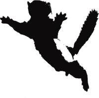 Jumping squirrel silhouette