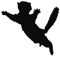 Jumping squirrel silhouette remix