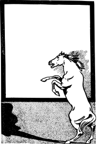 Horse Frame