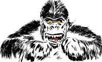 Gorilla