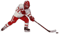 Ice Hockey Player 2