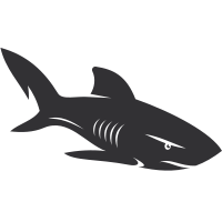 Shark outline silhouette