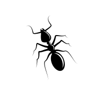Monochrome ant