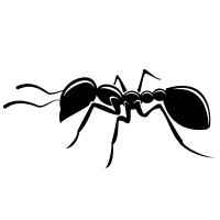 Ant silhouette