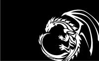 Black Dragon Flag