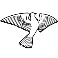 Dove bird silhouette