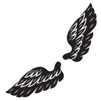 Wings silhouette graphics