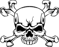 Skull 3