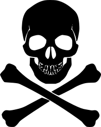 Skull 4