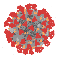 COVID-19 virus ultrastructure