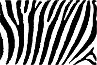 Zebra texture