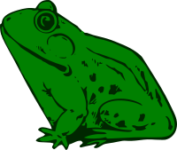 Frog