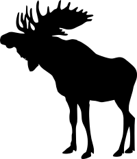 Silhouette of a moose