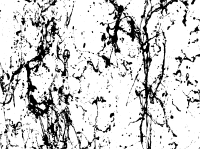 Splishy Background