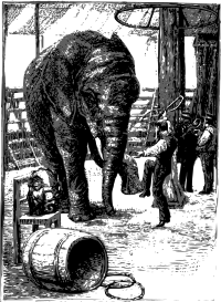 Animal Trainer