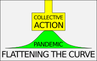 Flattening the Curve