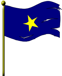 Tattered Flag