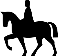 Horse and rider
