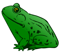Frog - New Version
