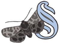 Drop Cap S - Butterfly - Colour