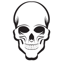 Human skull smiling