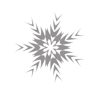 Snowflake particle