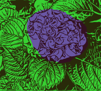 Hydrangeas - simple