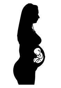 Pregnant Woman Silhouette with Baby