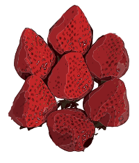Bunch of Strawberries