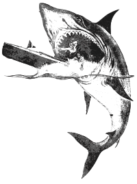 Big Shark Eats a Boat