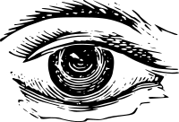 Single Eye 1885