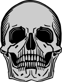 Memento mori skull