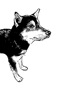 Friendly Dog Outline