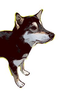 Friendly Dog Colour