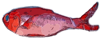 Red Fish
