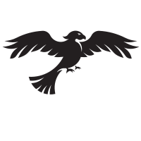 Hawk silhouette